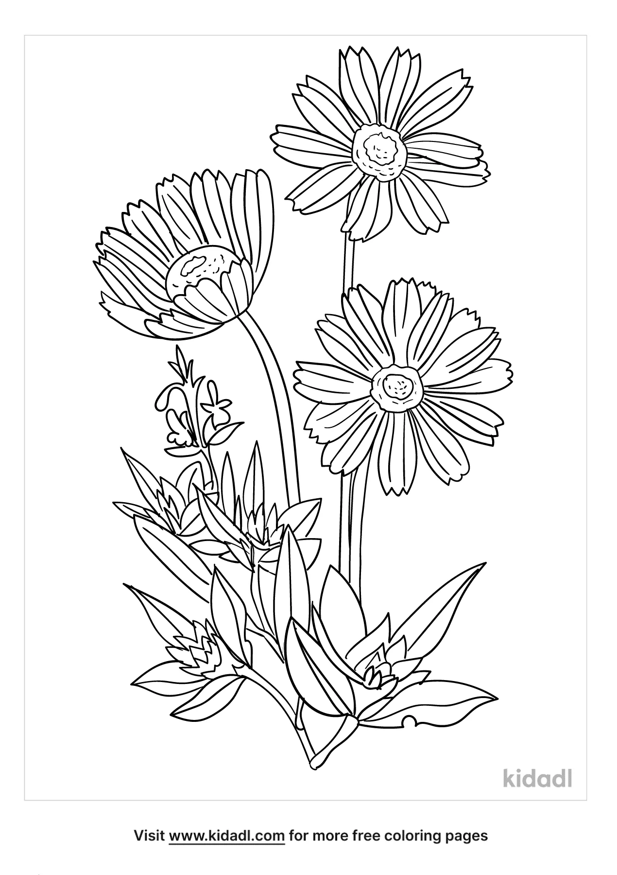 Blanket Flower Coloring Page