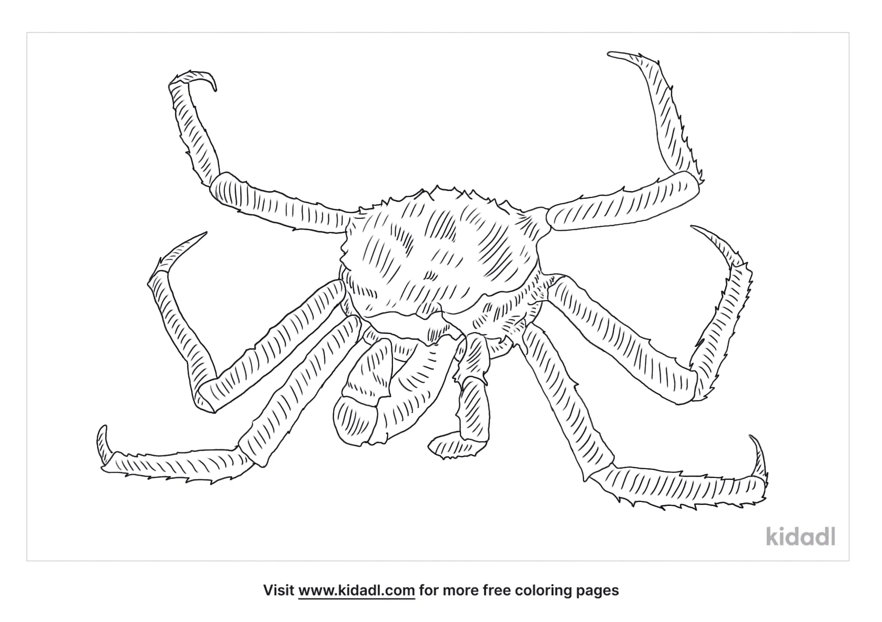 Blue King Crab Coloring Page