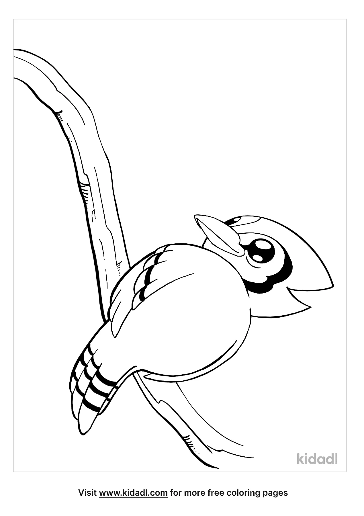 Blue Jay Coloring Pages   Free Birds Coloring Pages   Kidadl