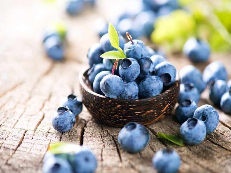 Freshly picked blueberries in wooden bowl