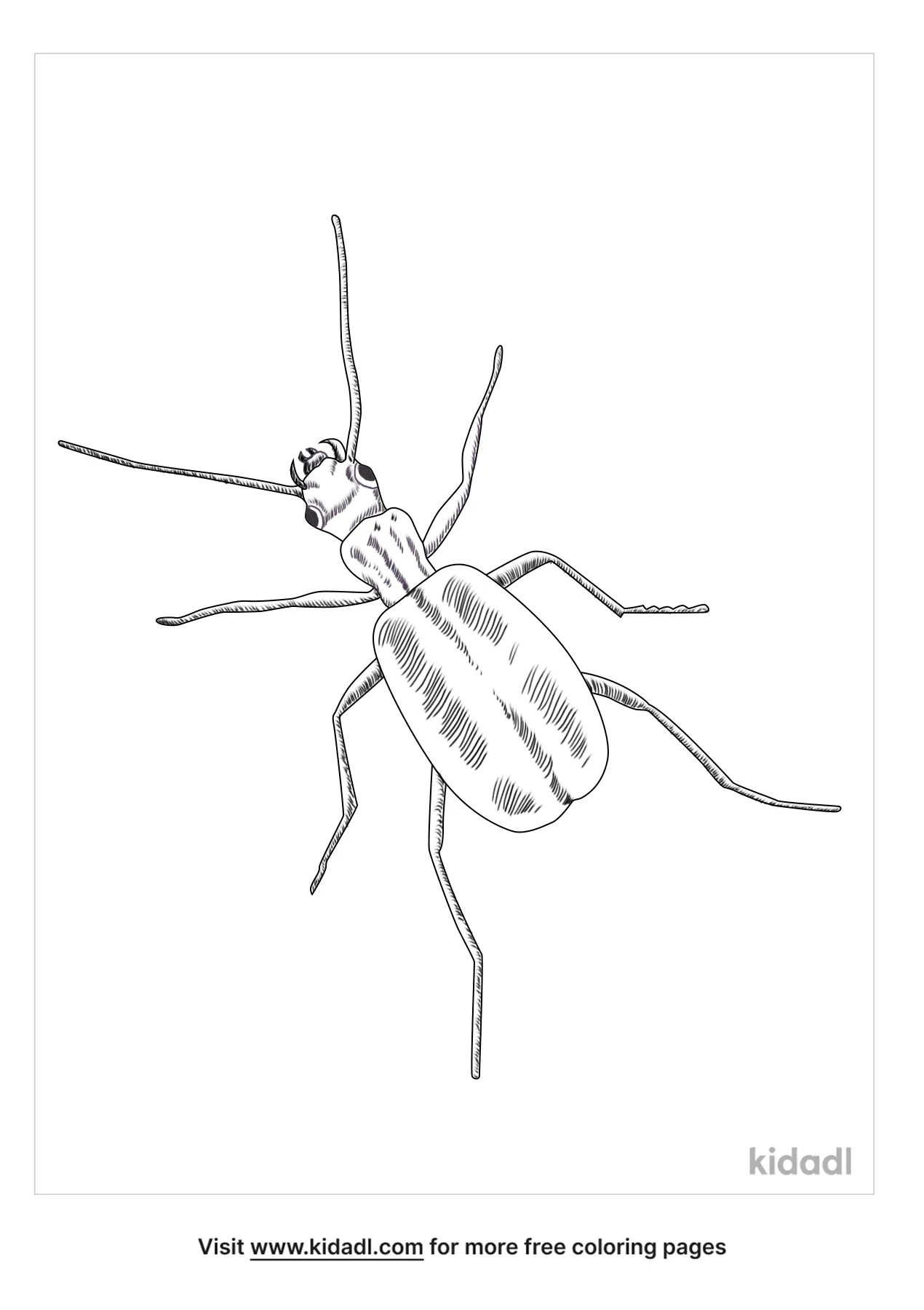 Familiar Bluet Coloring Page | Free Bugs Coloring Page | Kidadl