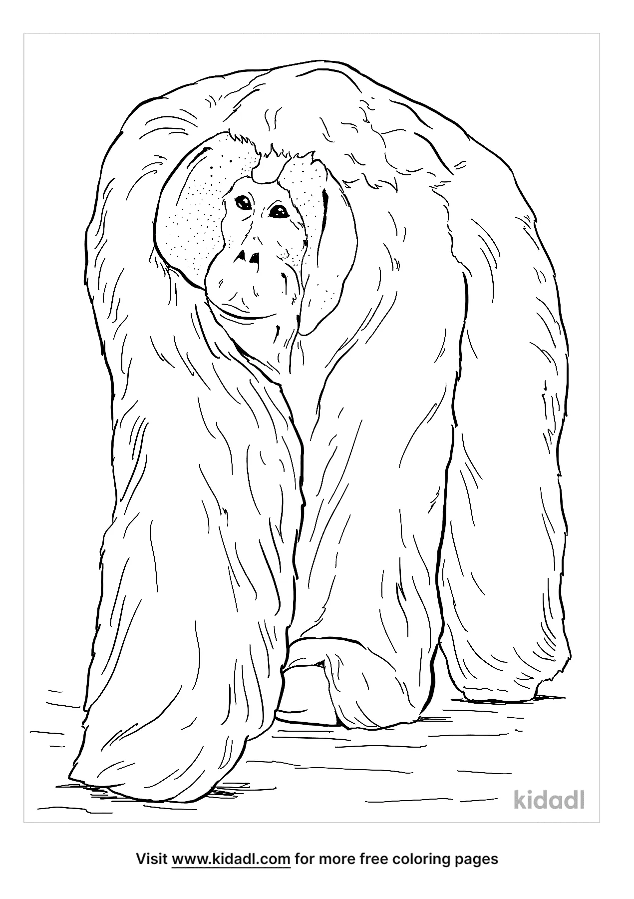 baby orangutan coloring page