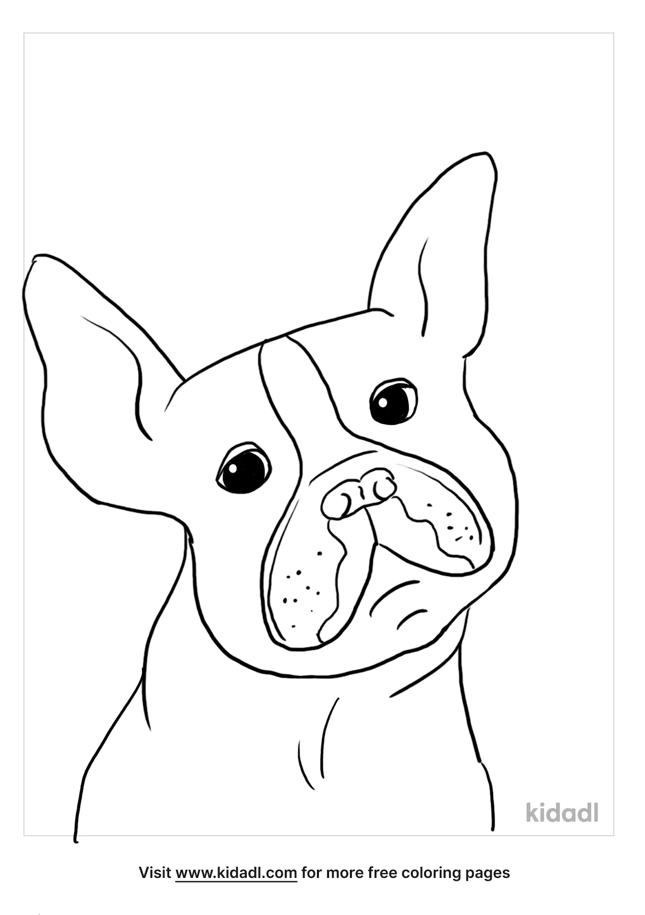 free printable boston terrier coloring pages