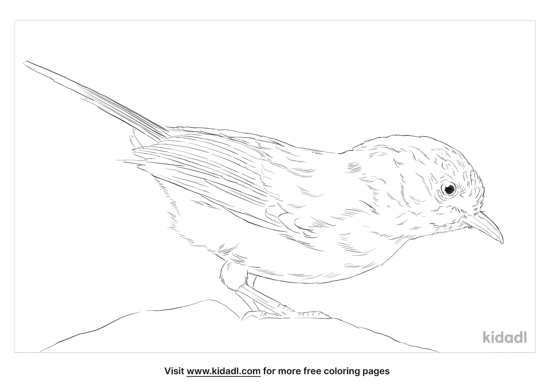 Free Brown-Cheeked Fulvetta Coloring Page | Coloring Page Printables ...