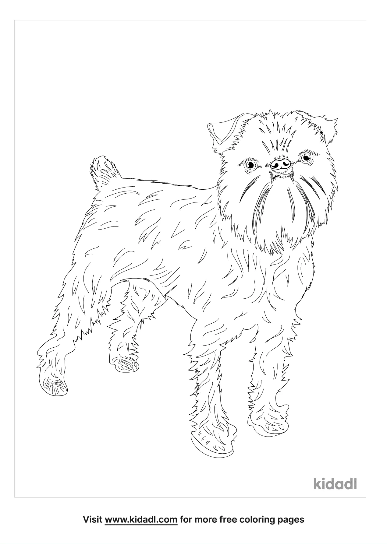 Brussels Griffon Coloring Page