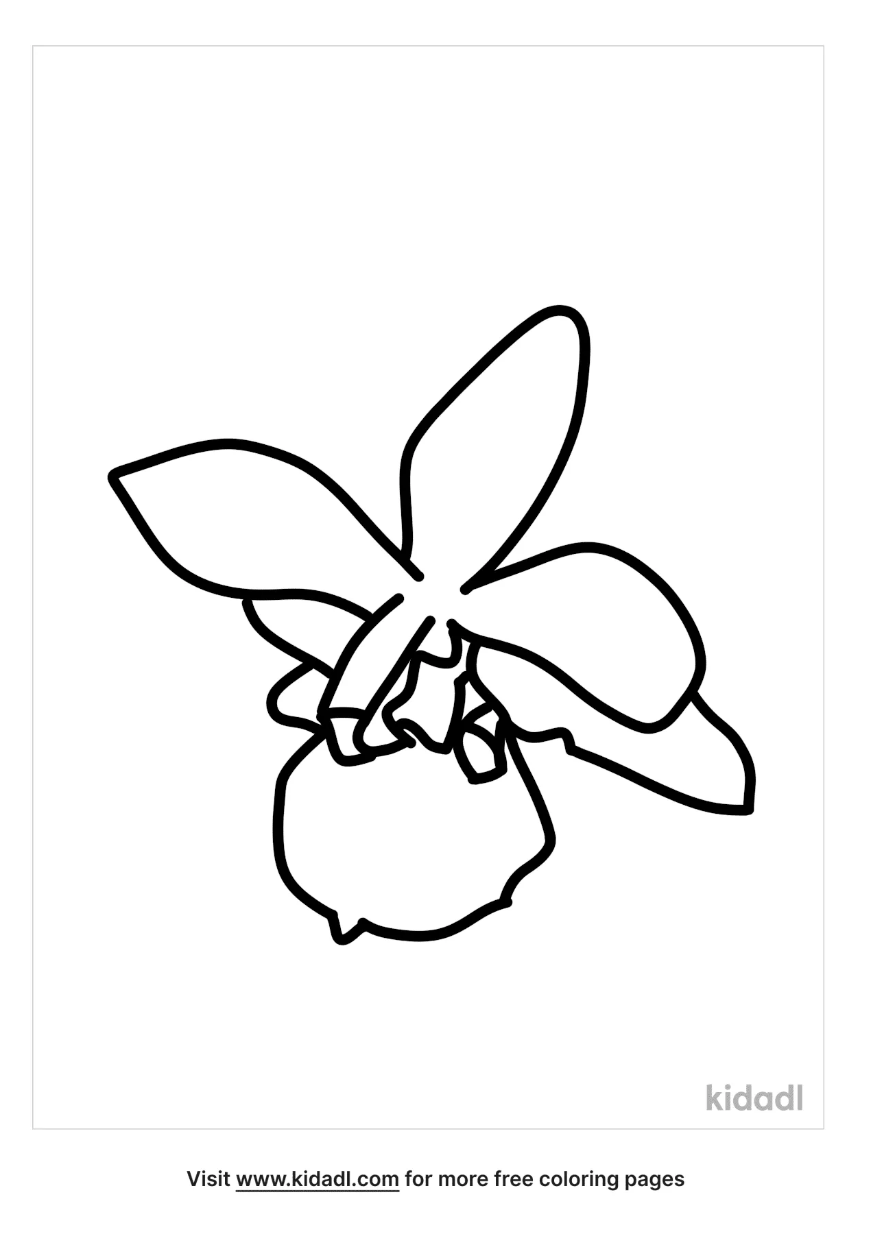Free Butterfly Orchid Coloring Page | Coloring Page Printables | Kidadl