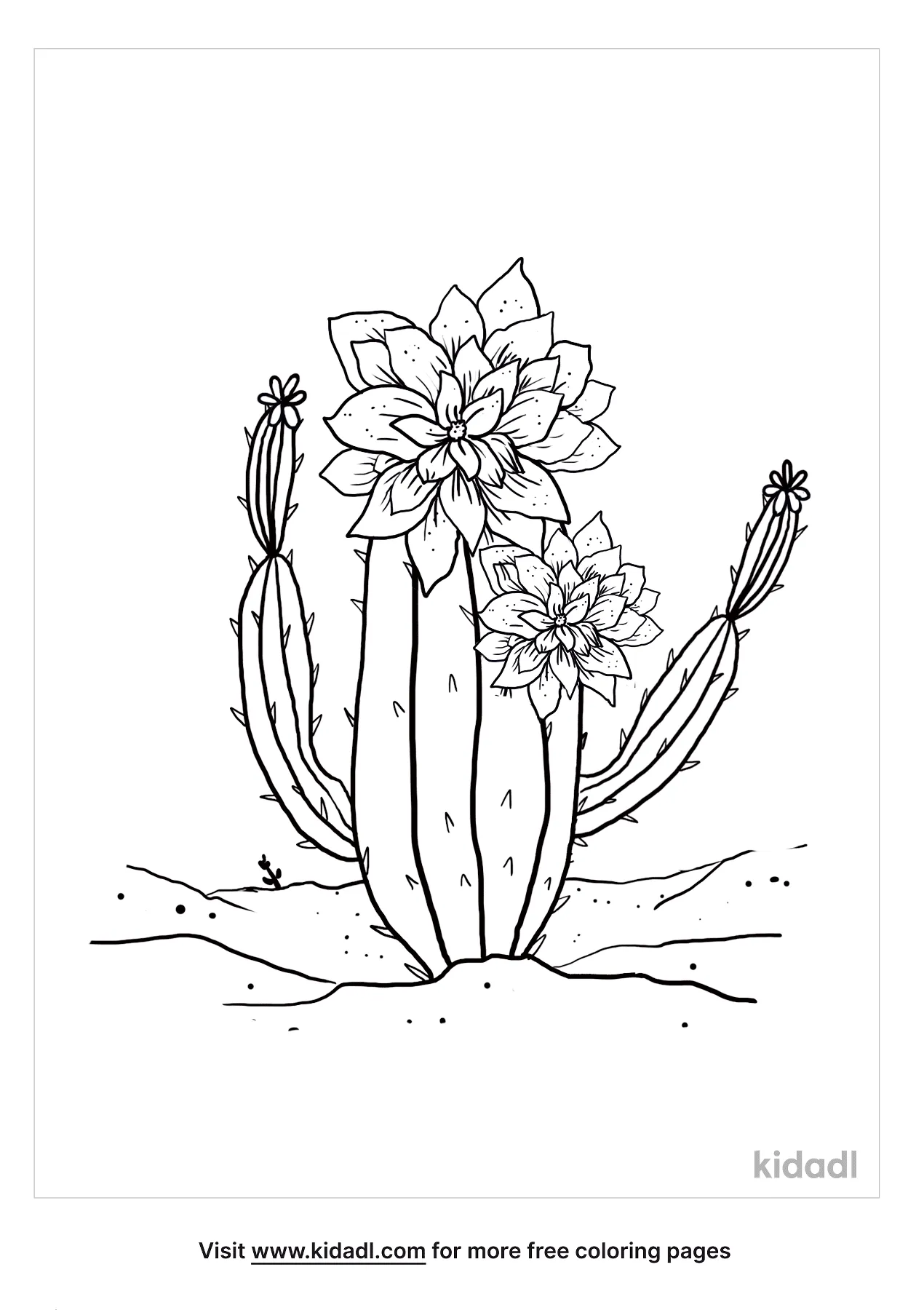 Free Cactus With Bloom Coloring Page | Coloring Page Printables | Kidadl