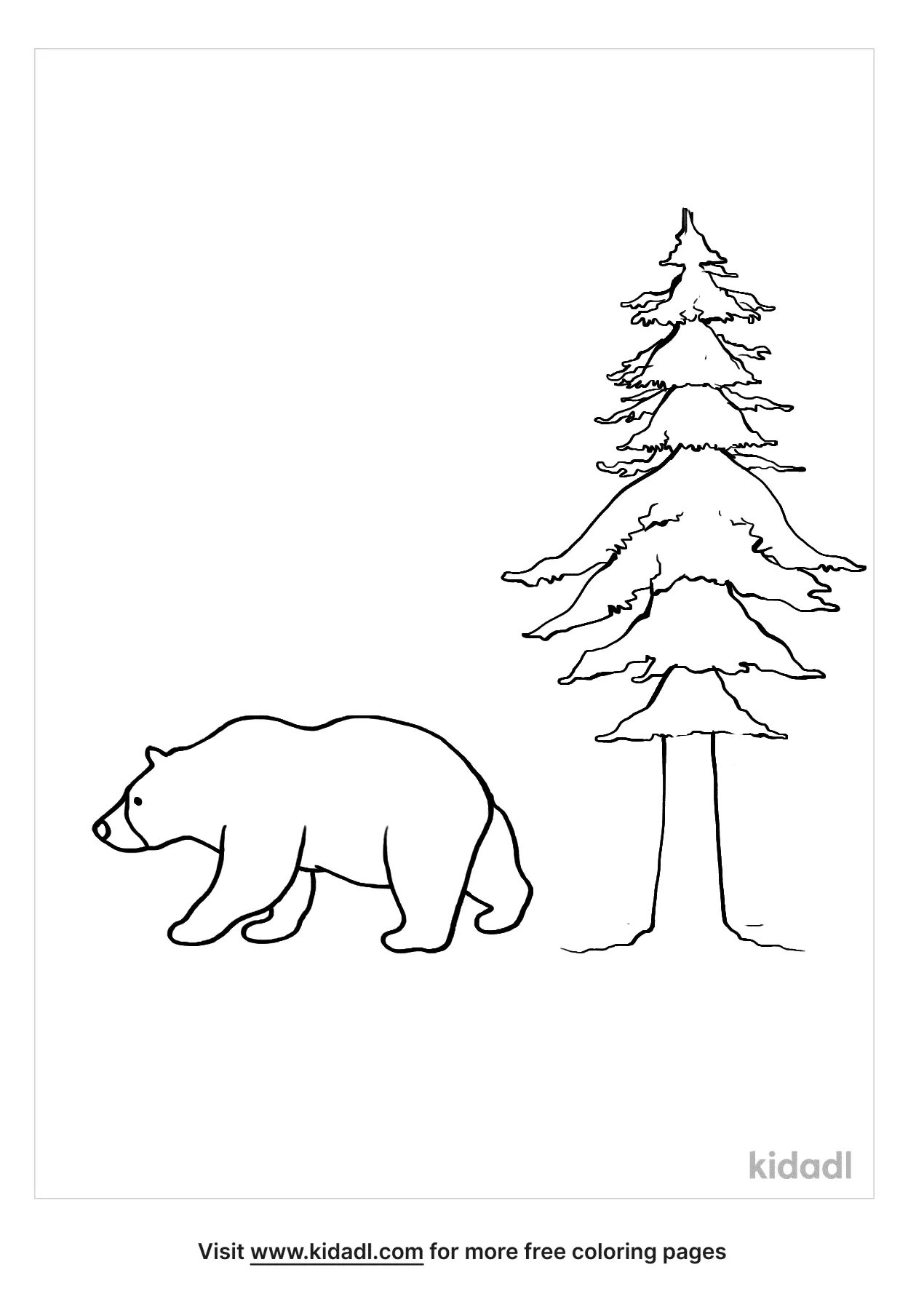 california state tree coloring page