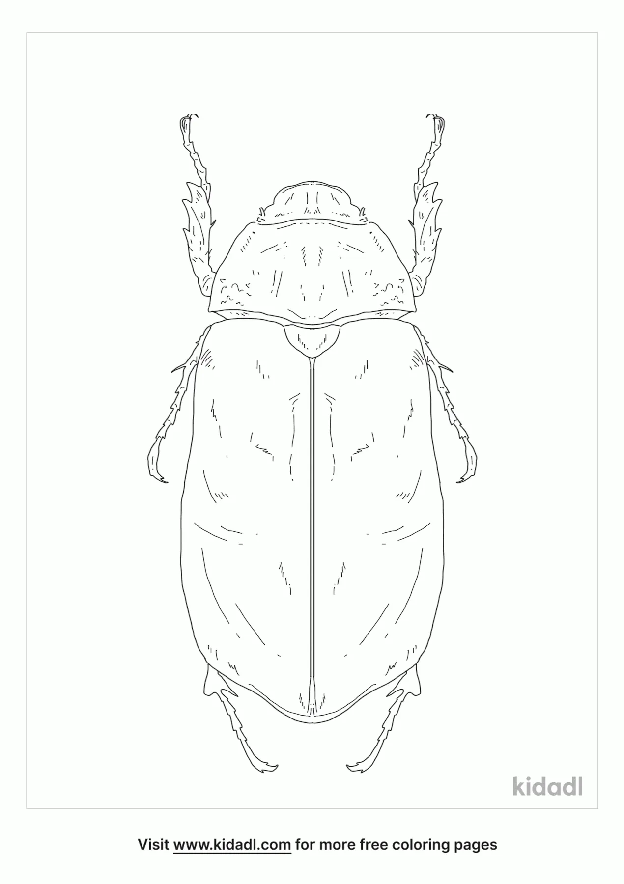 Free Cane Beetle Coloring Page | Coloring Page Printables | Kidadl