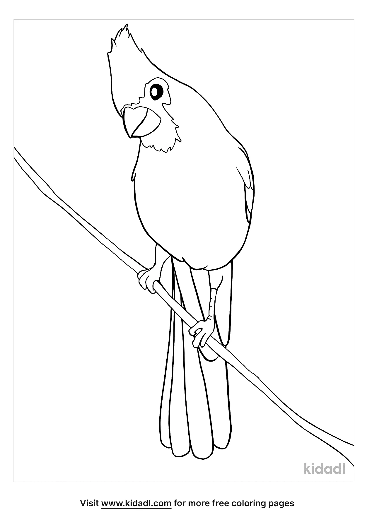 Cardinal Bird Coloring Pages Free Birds Coloring Pages Kidadl