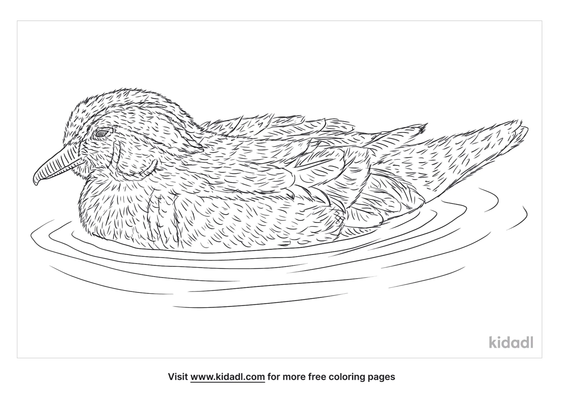 Carolina Wood Duck Coloring Page