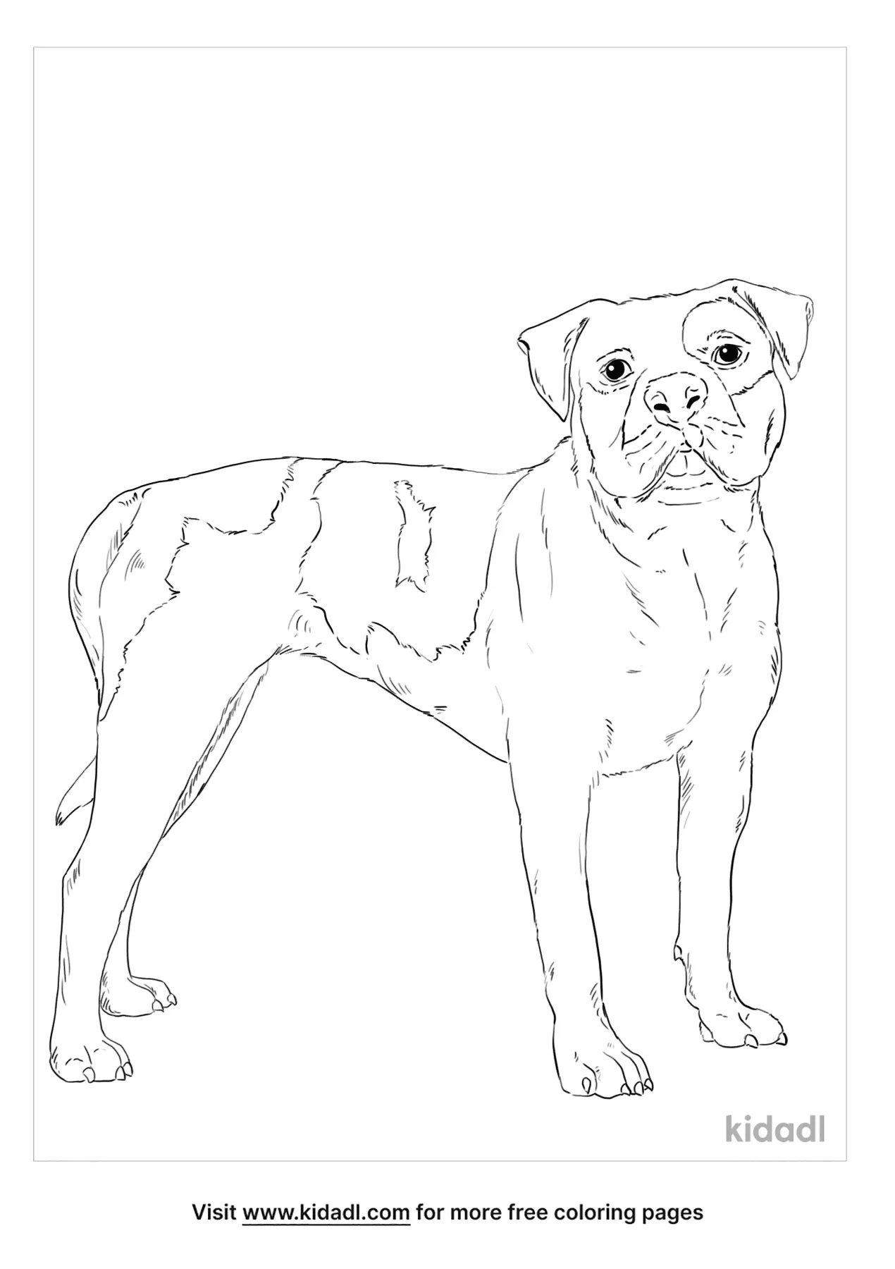 free coloring pages of bulldogs