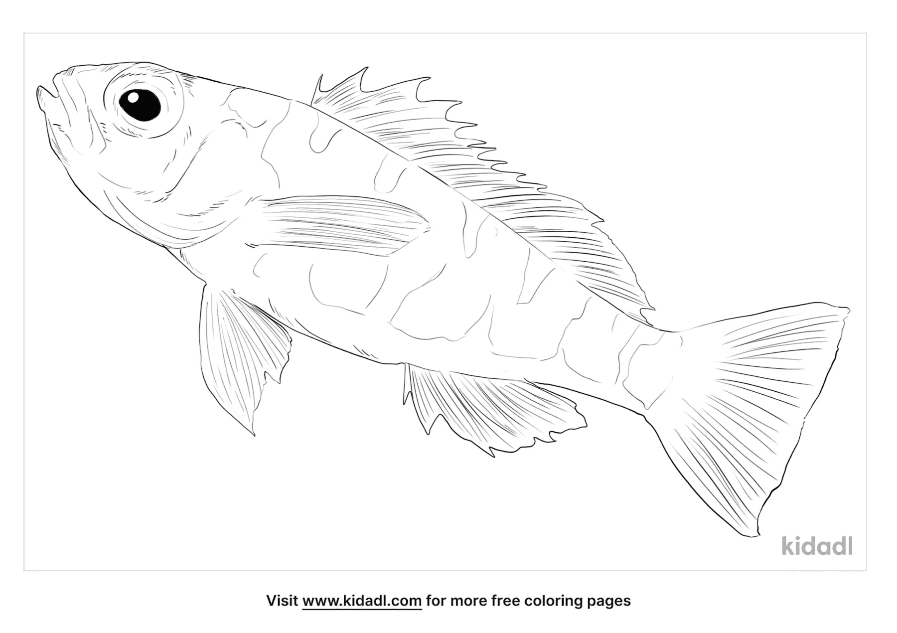 Chalk Bass Coloring Page