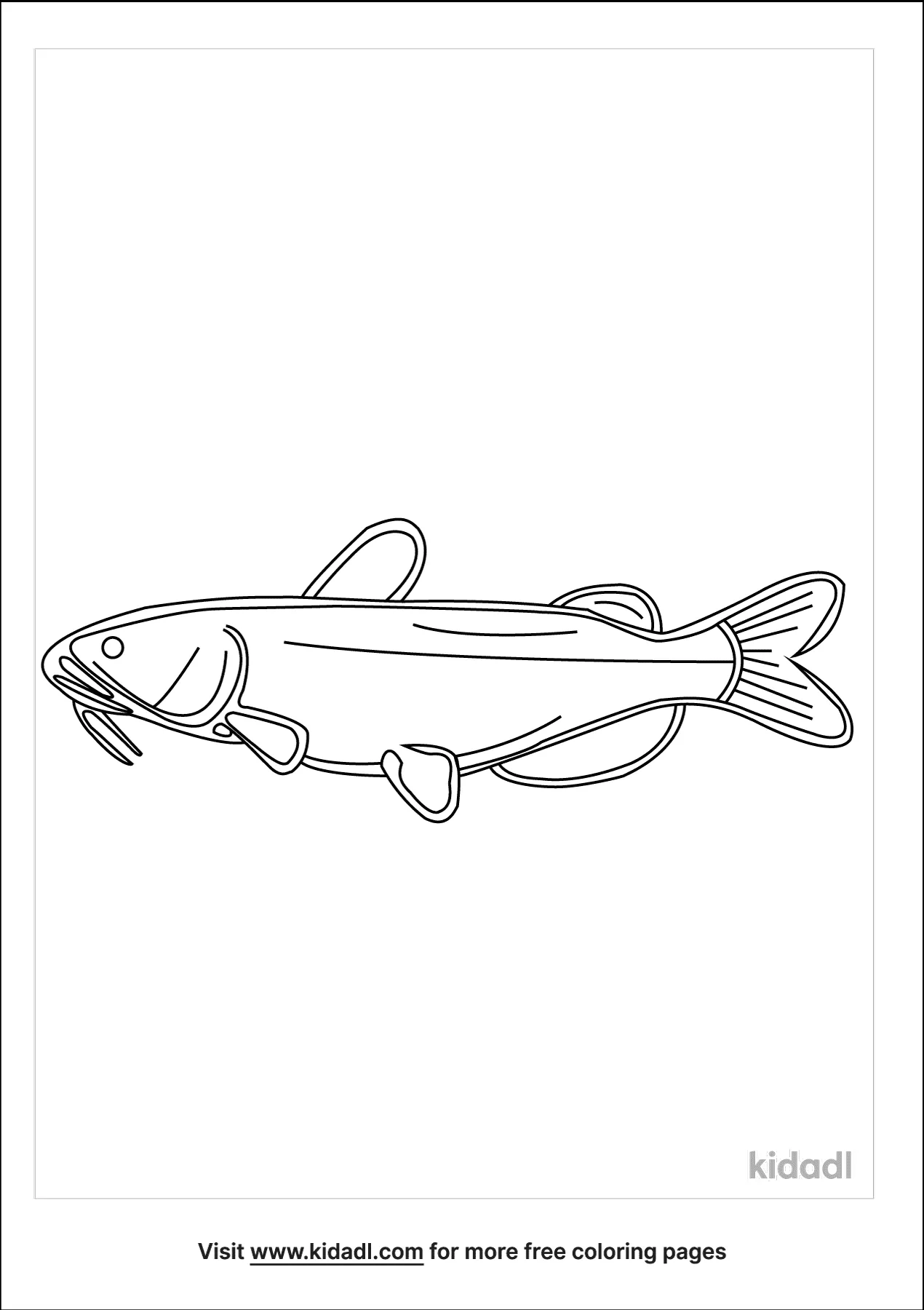 Channel Catfish Coloring Page