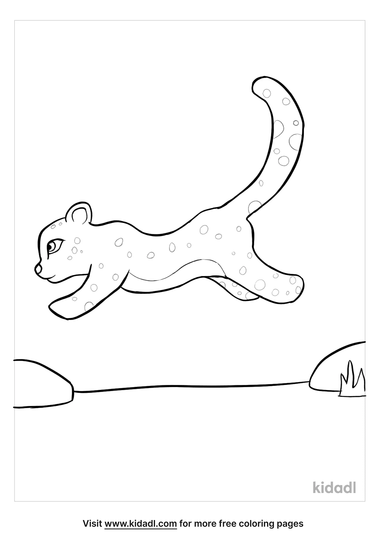 Cheetah Coloring Pages   Free Animals Coloring Pages   Kidadl