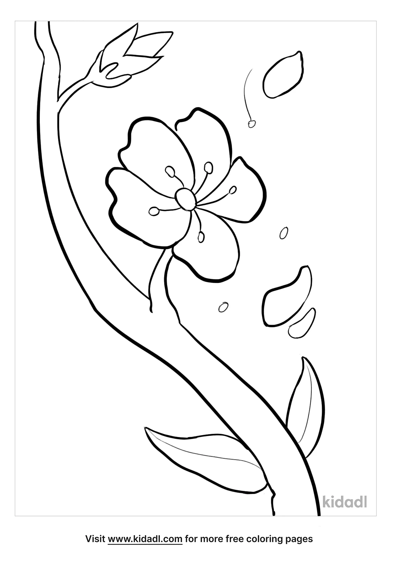 cherry blossom coloring pages free spring coloring pages kidadl