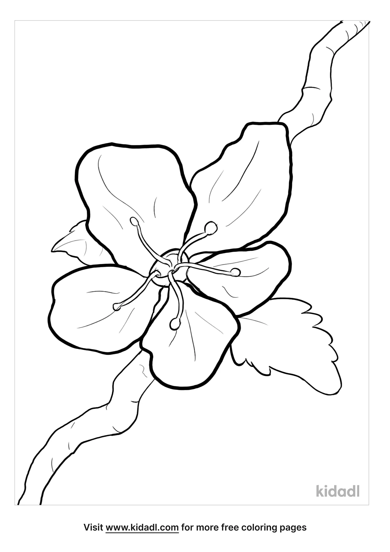 cherry blossom coloring pages free spring coloring pages kidadl