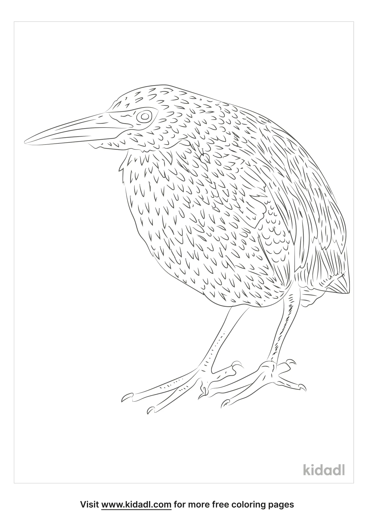 coloring pages of chinas bird