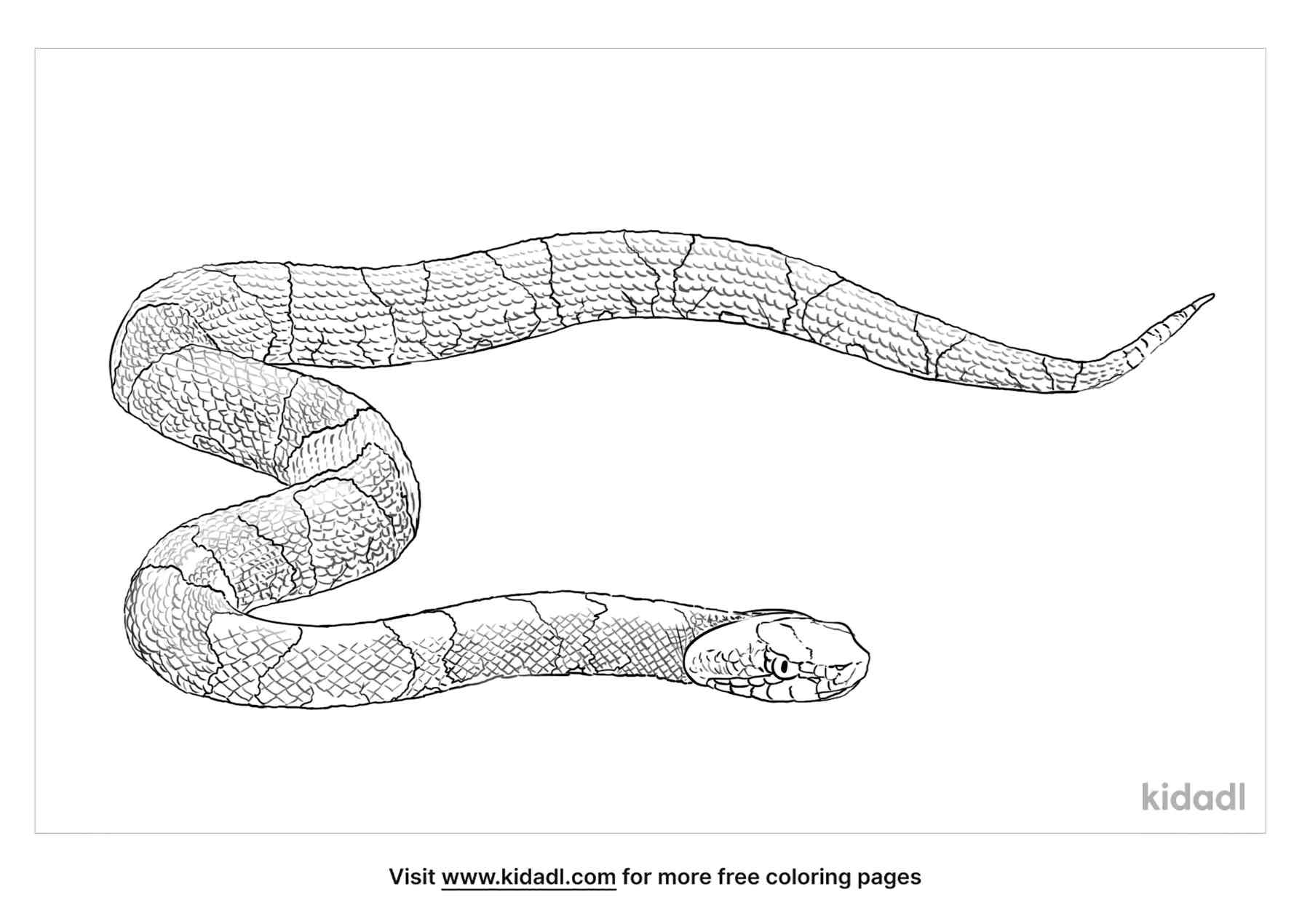 Copperhead Snake coloring page for kids.