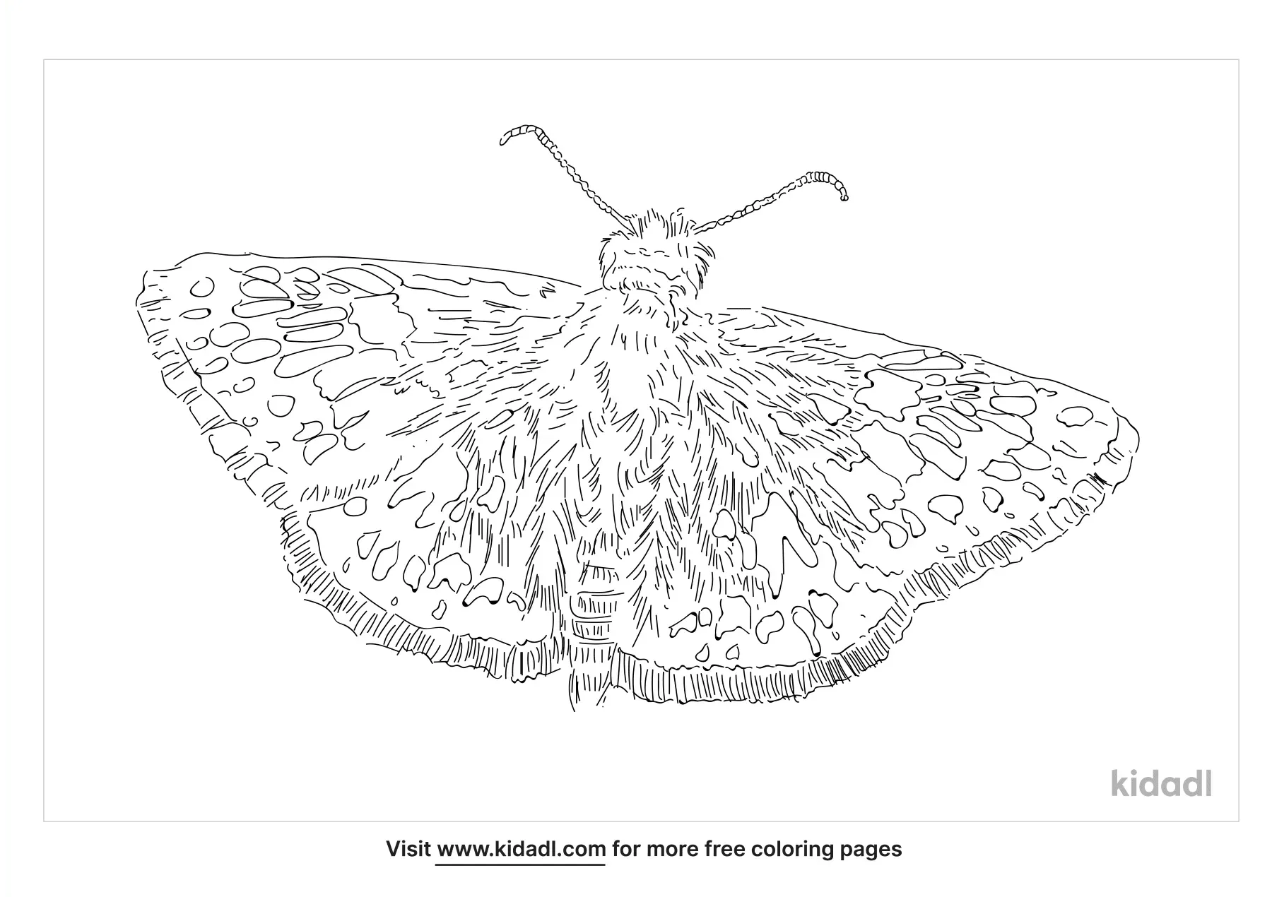 Mission Blue Butterfly Coloring Page | Free Butterflies Coloring Page ...