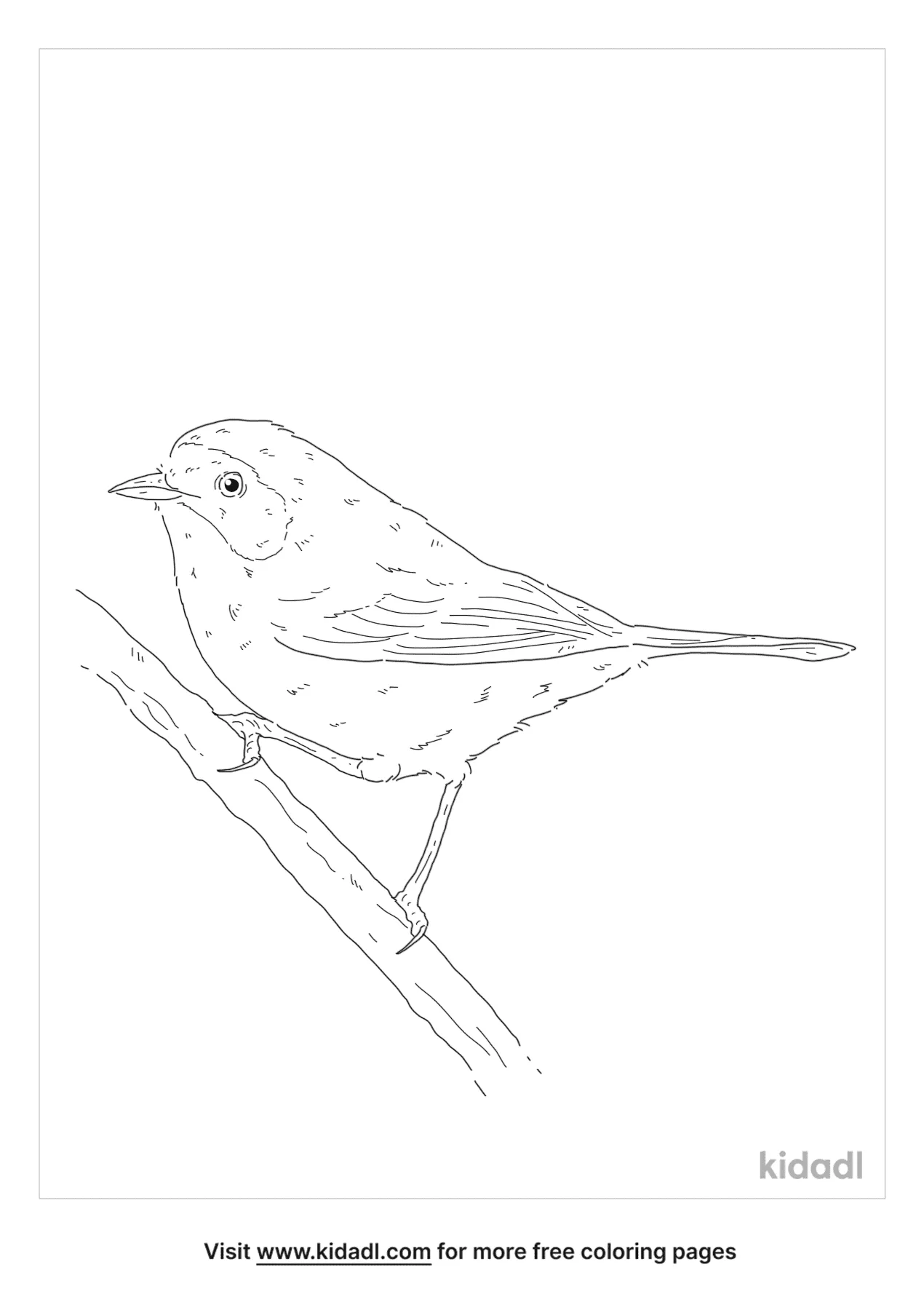 Common Yellowthroat Coloring Page | Free Birds Coloring Page | Kidadl