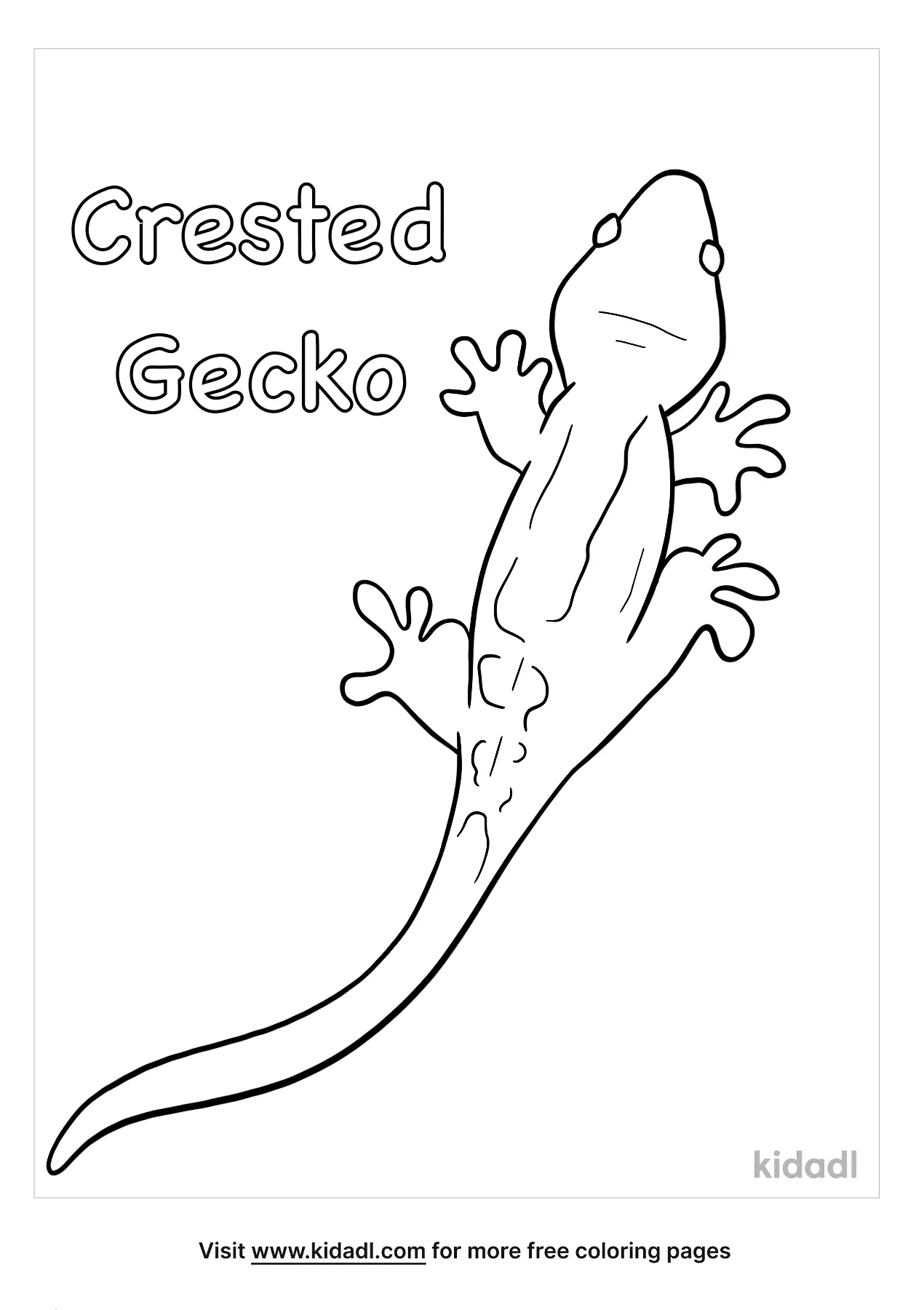 crested gecko coloring pages