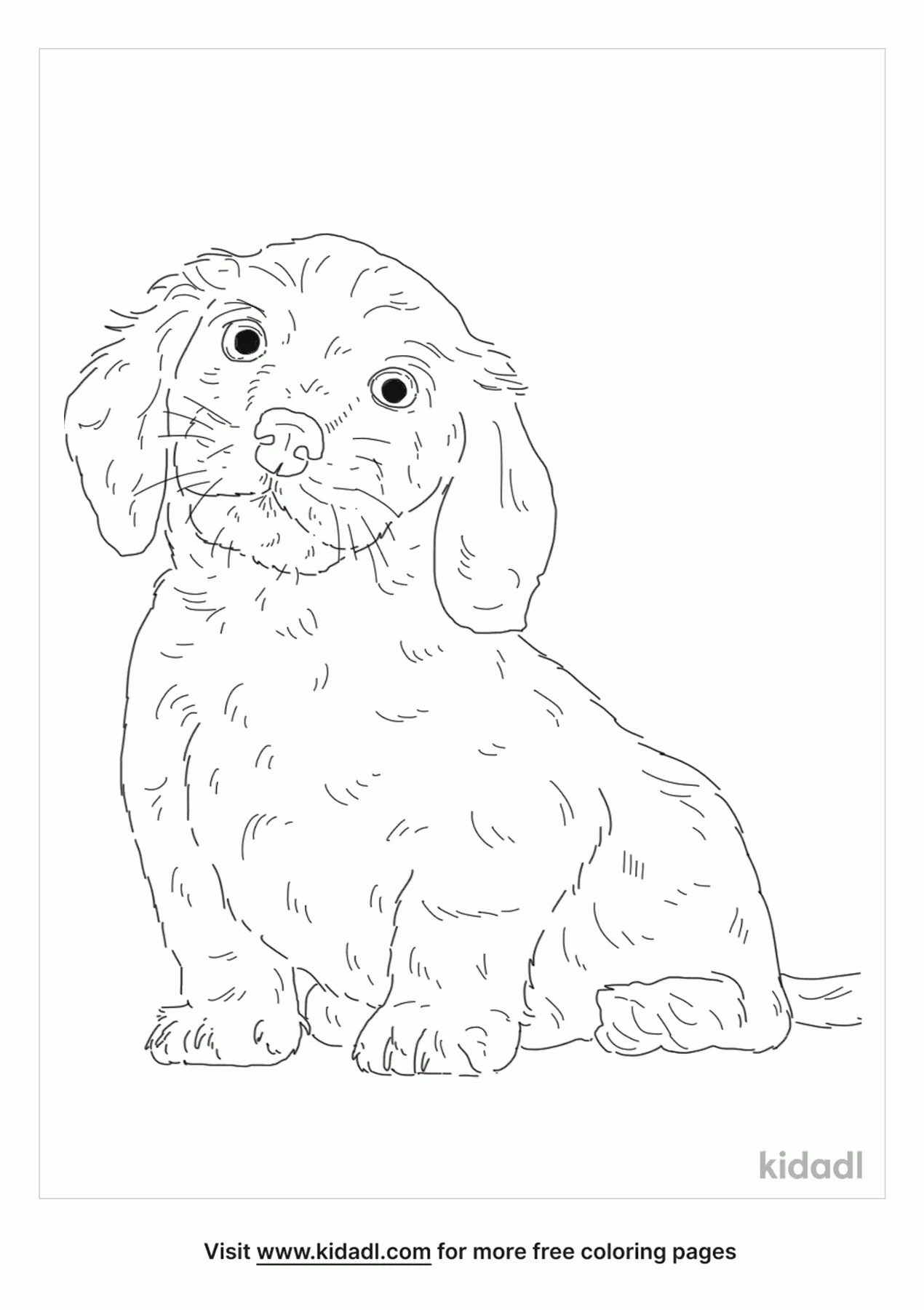 dushound coloring pages