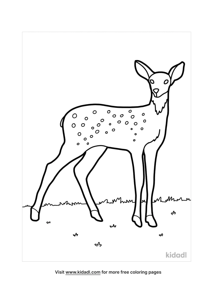 deer coloring pages print