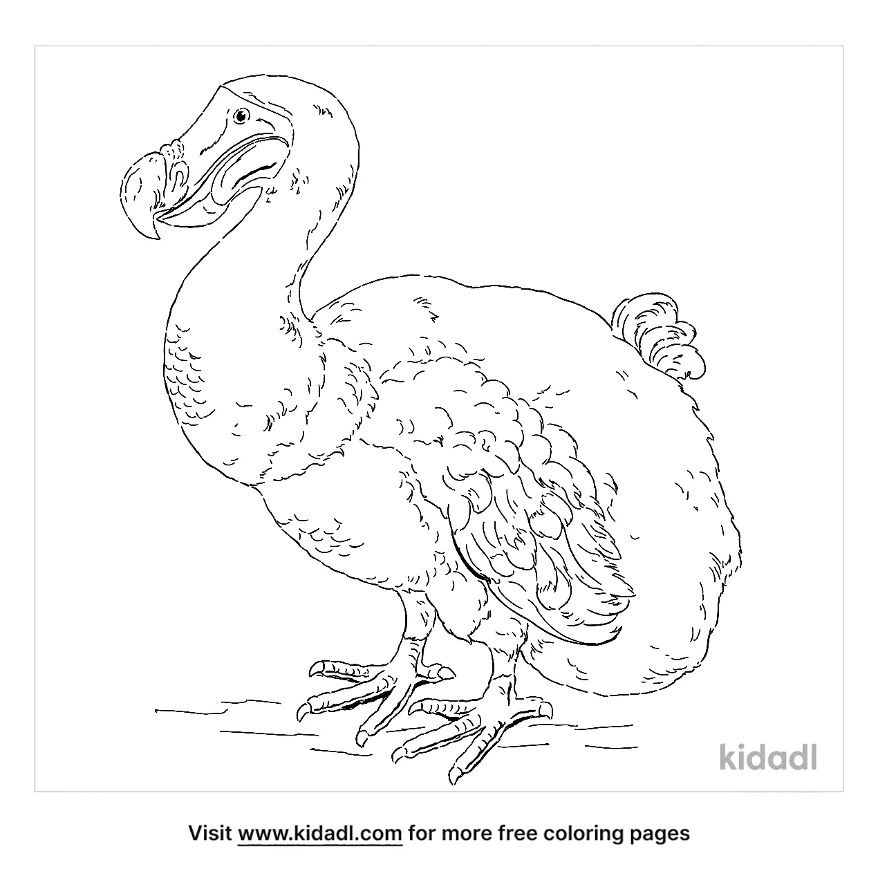 dodo bird coloring pages