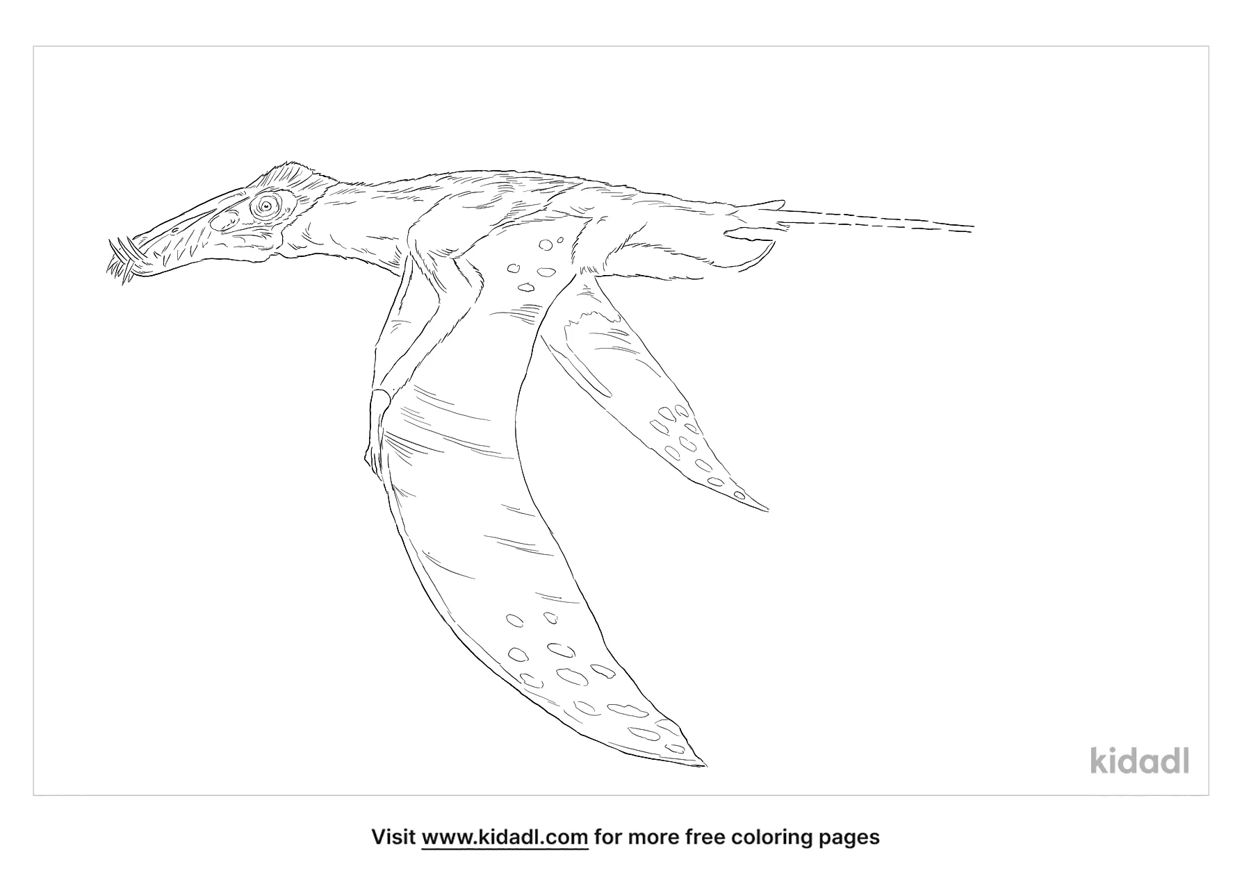 Dorygnathus Coloring Page