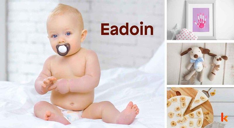 Meaning of the name Eadoin