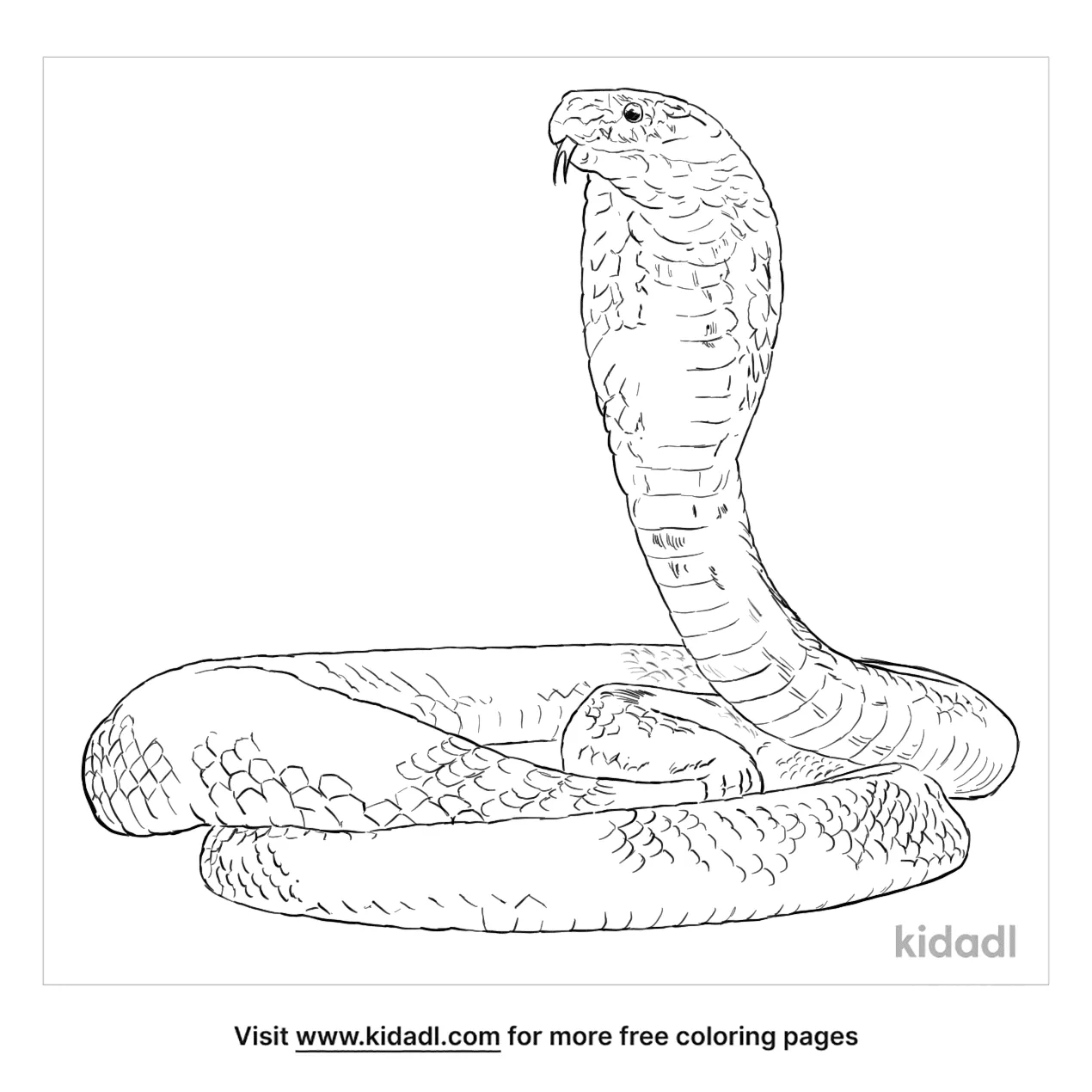 egyptian cobra coloring pages