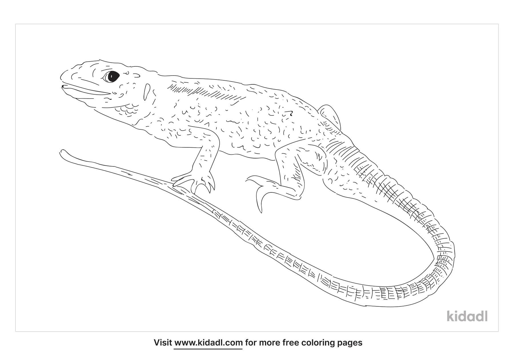 crested gecko coloring pages