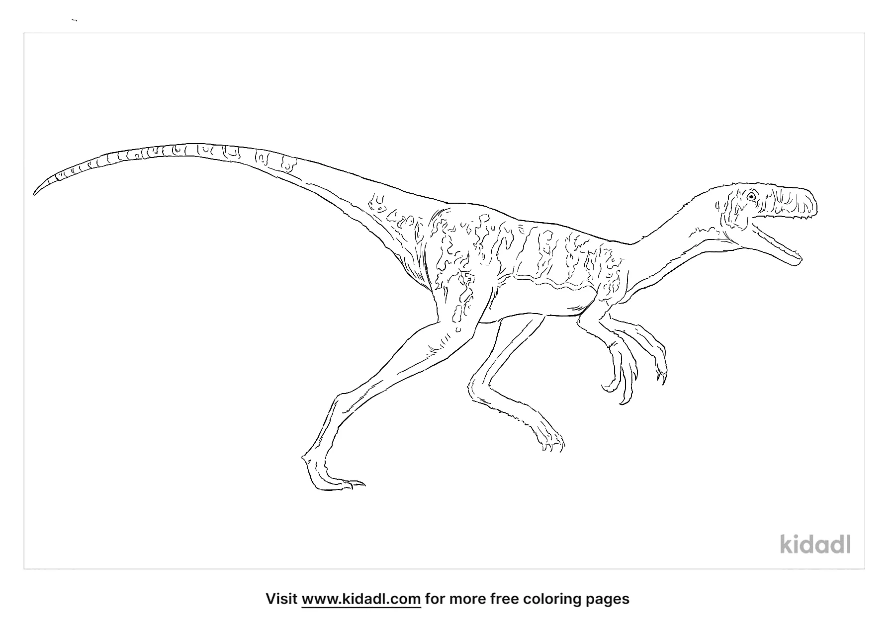 troodon dinosaur coloring pages