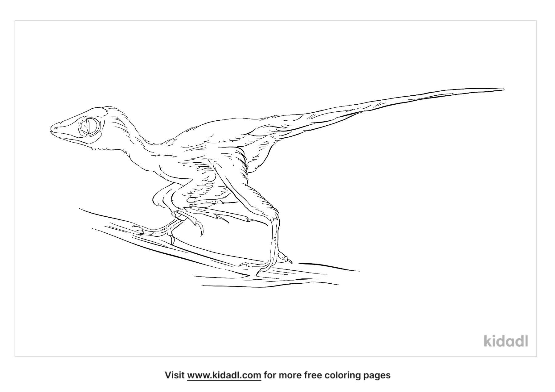 Epidendrosaurus Coloring Page