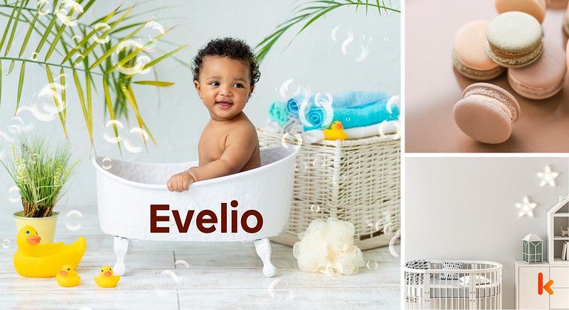 Meaning of the name Evelio