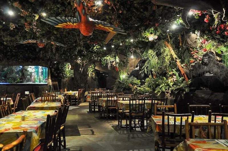 The Rainforest Cafe is wild!