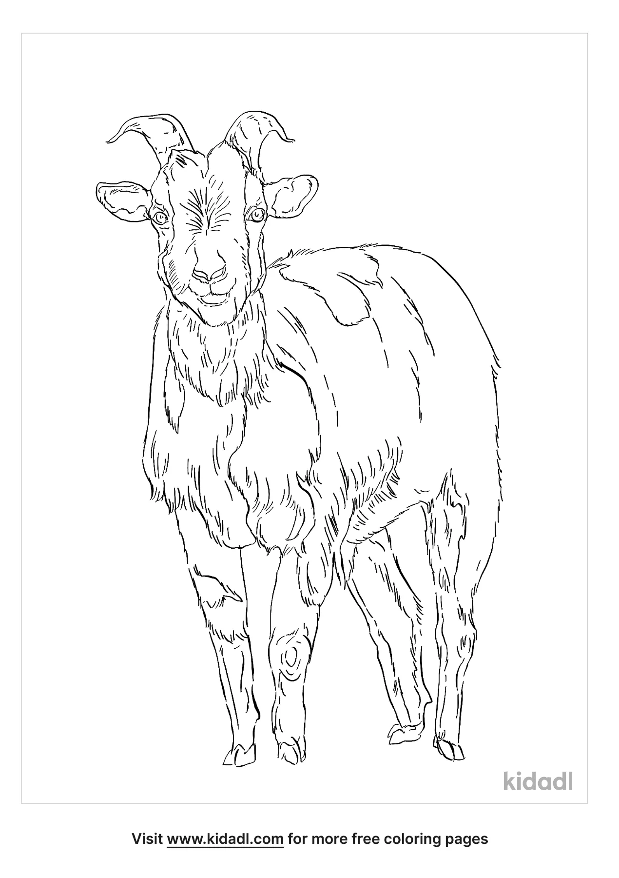 Fainting Goat Coloring Page