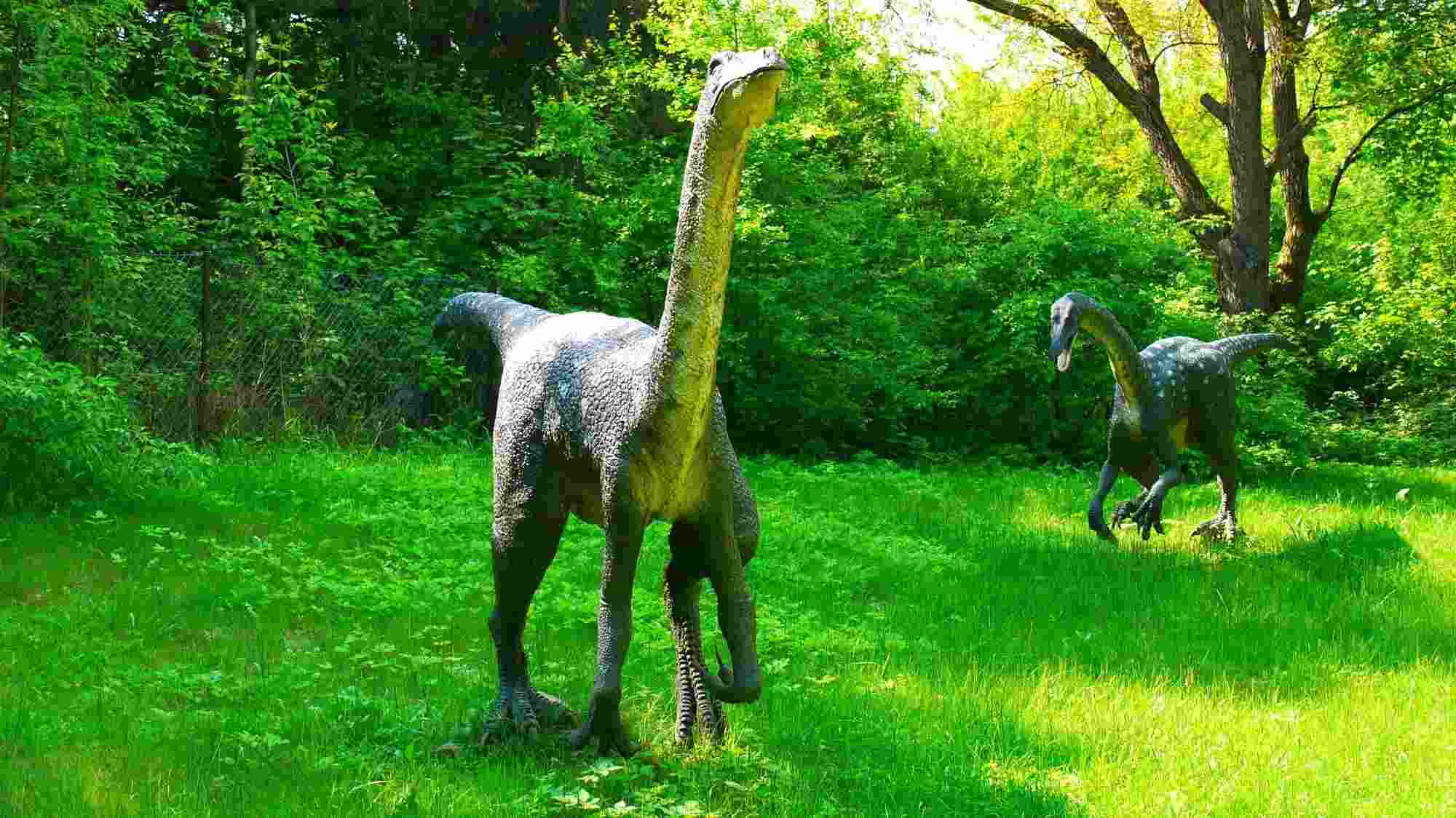 The Ornithomimus facts about its habitat, size and life.