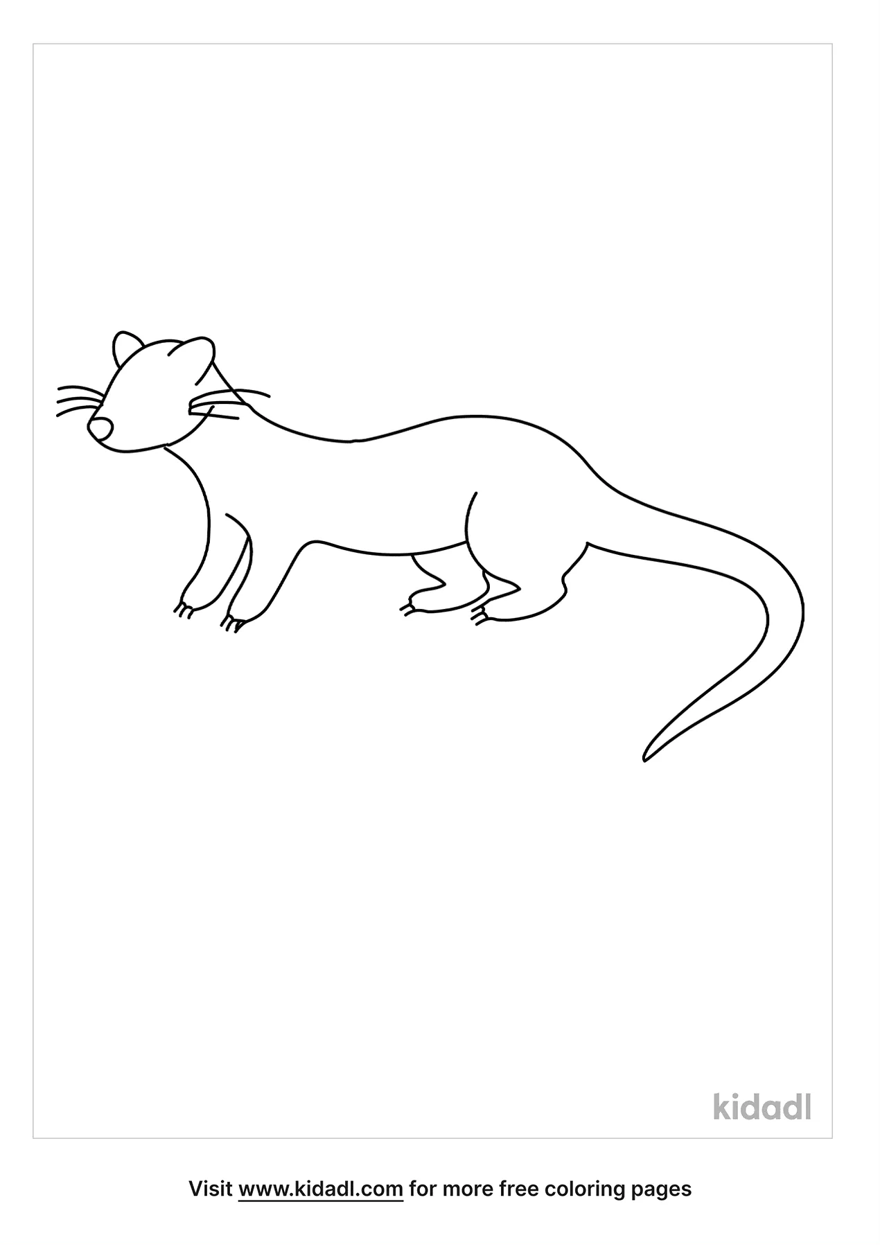 Ferret Outline Coloring Page