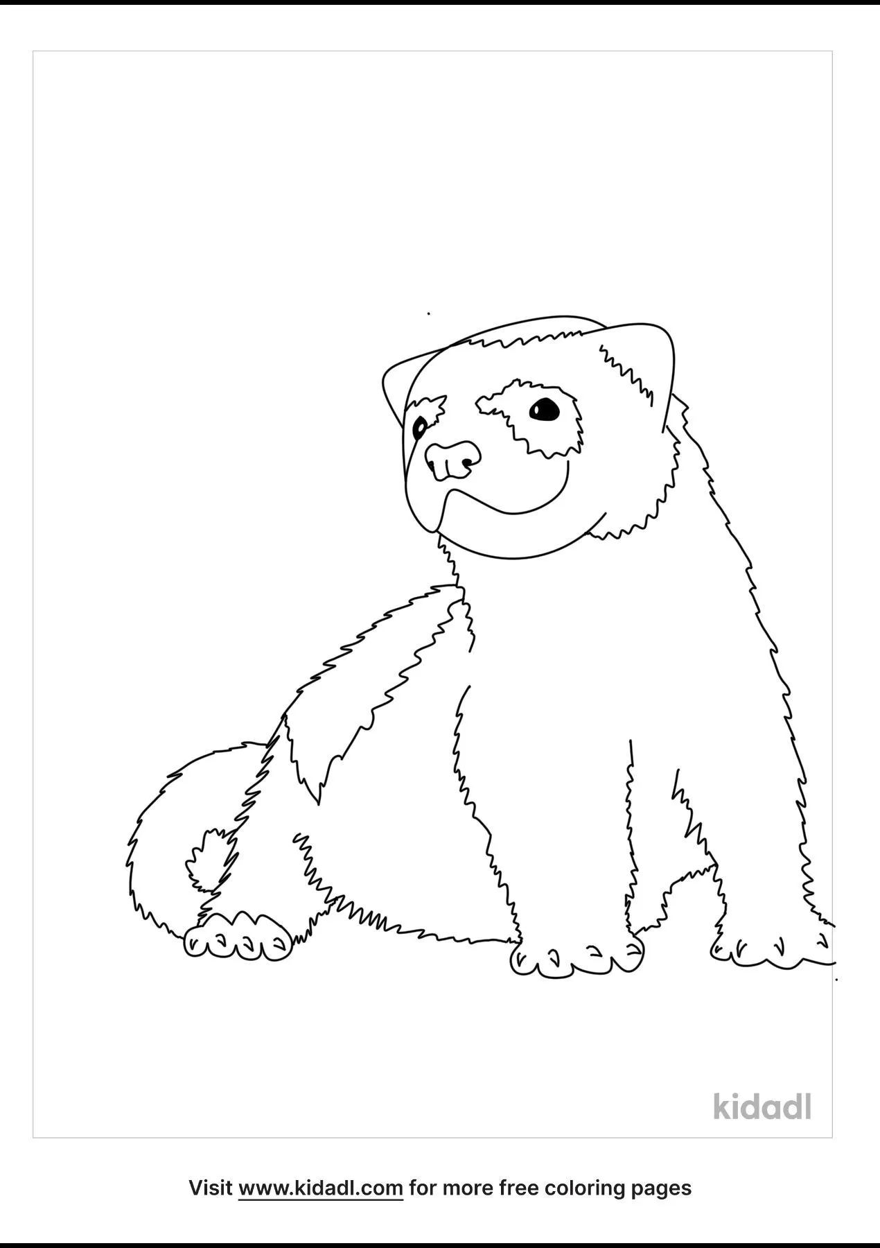 Ferret Coloring Pages Free Animals Coloring Pages Kidadl