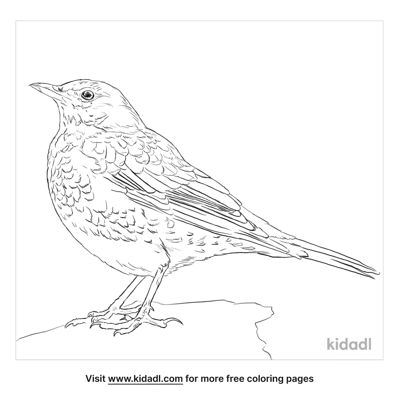 Free Fieldfare Coloring Page | Coloring Page Printables | Kidadl