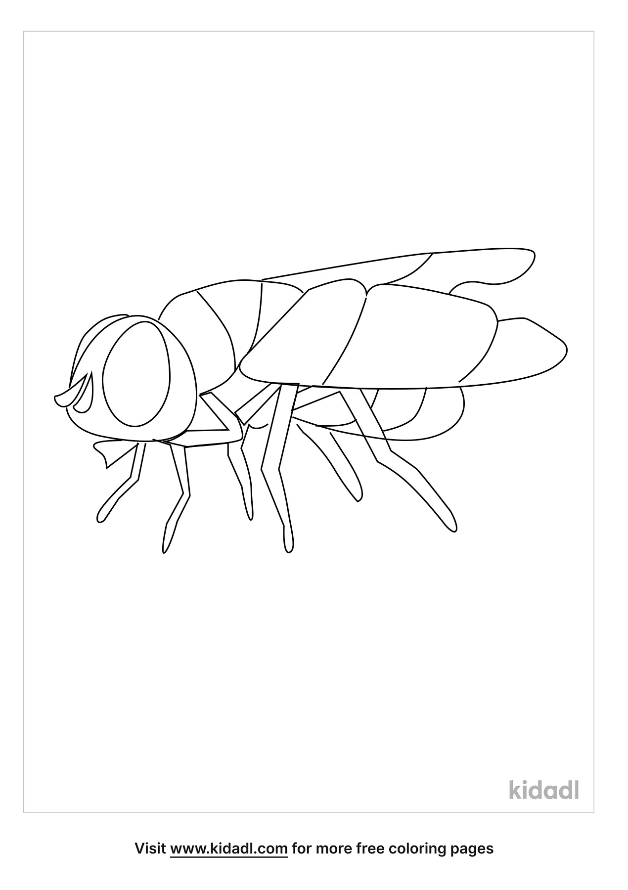Flies Coloring Pages