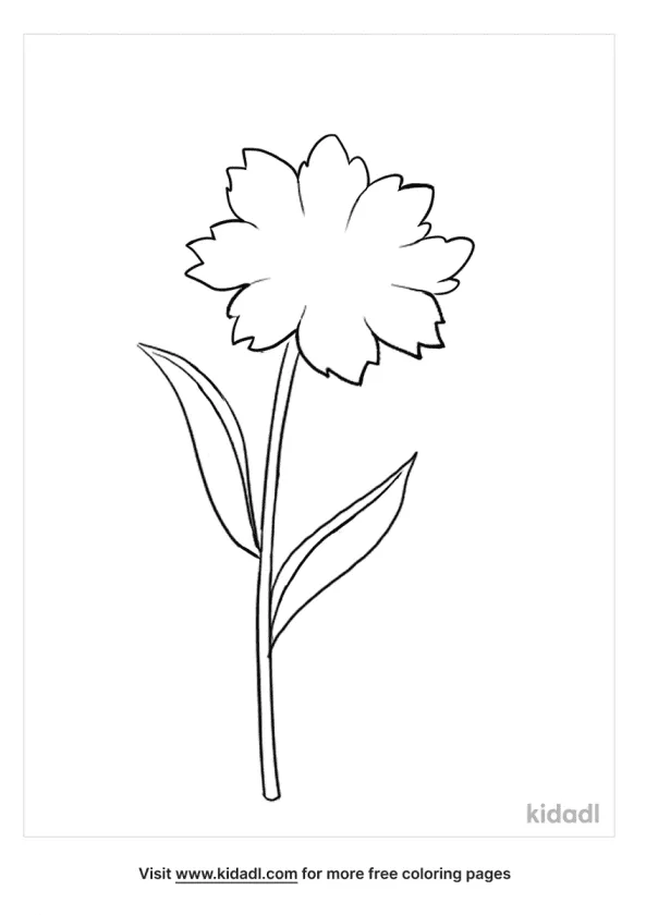 flower outline coloring page