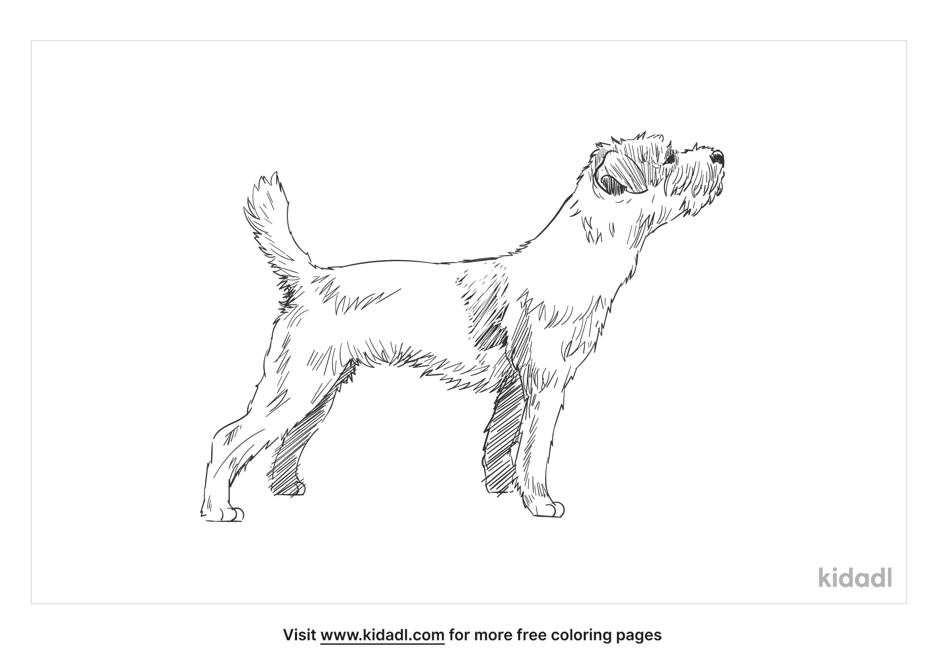 free airedale coloring pages