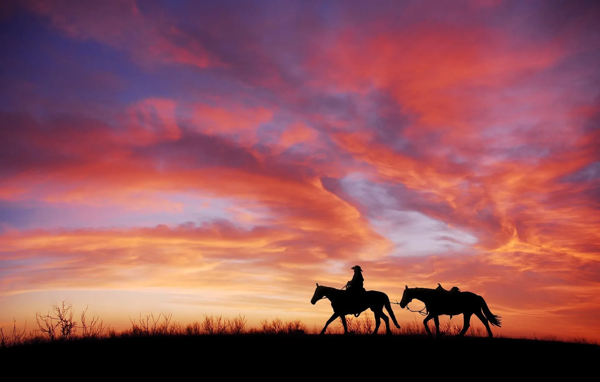 Cowboy names for girls and boys are quite unique.