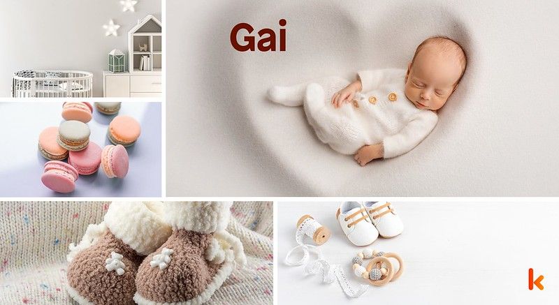 Meaning of the name Gai 