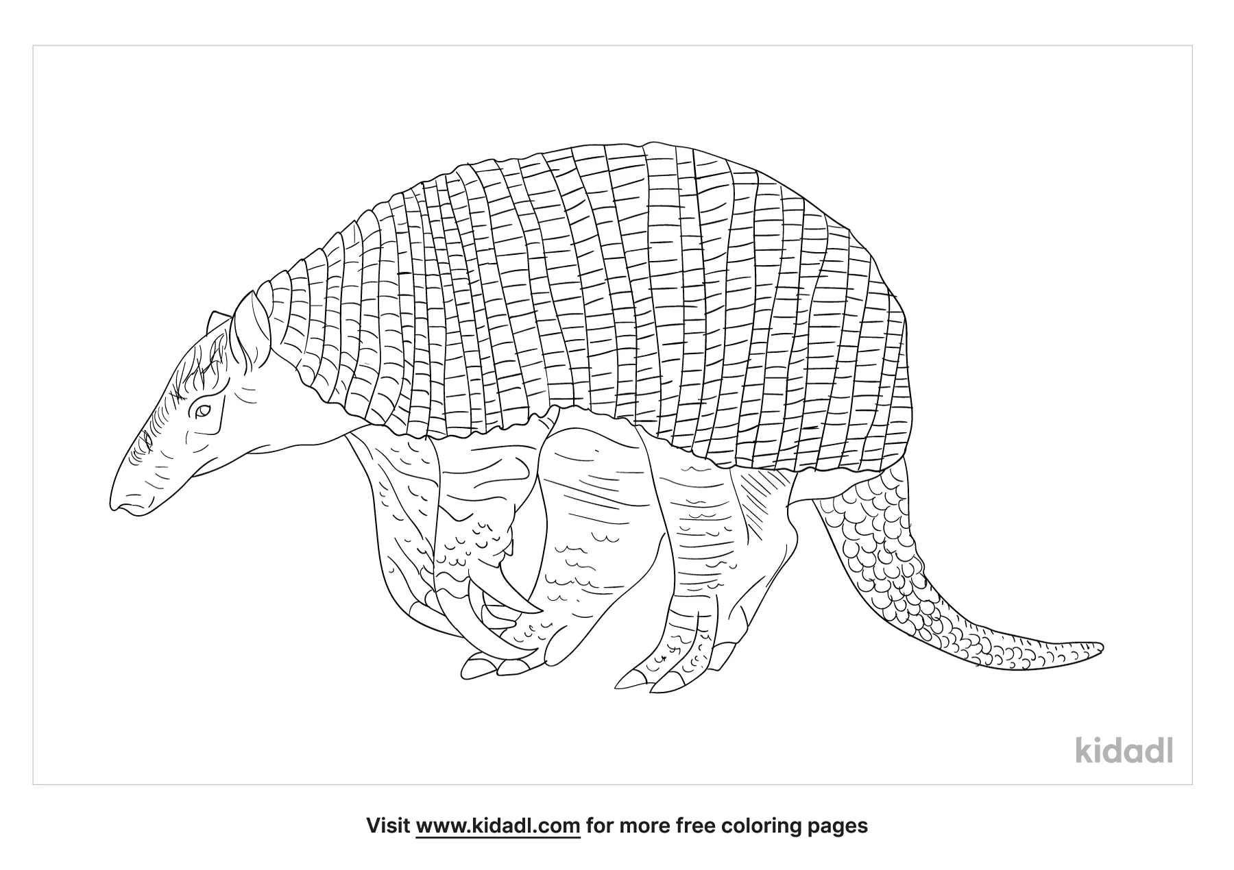 Giant Armadillo Coloring Page   Free Mammals Coloring Page   Kidadl