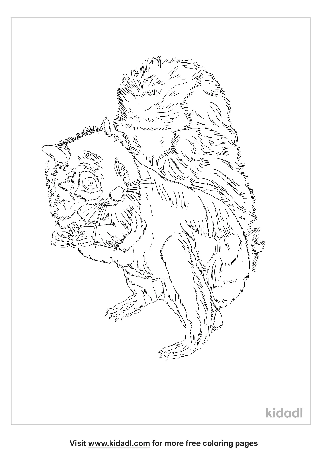 Giant Flying Squirrel Coloring Page