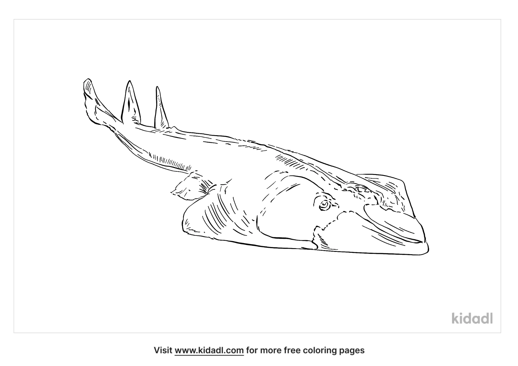 Giant Guitarfish Coloring Page